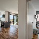 Belvedere Holidays Vakantiehuis Novigrad Istria