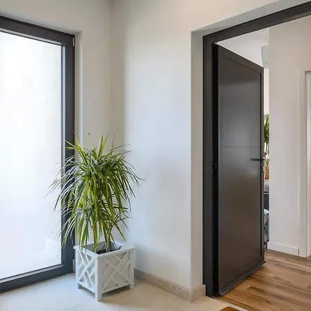 Belvedere Holidays *