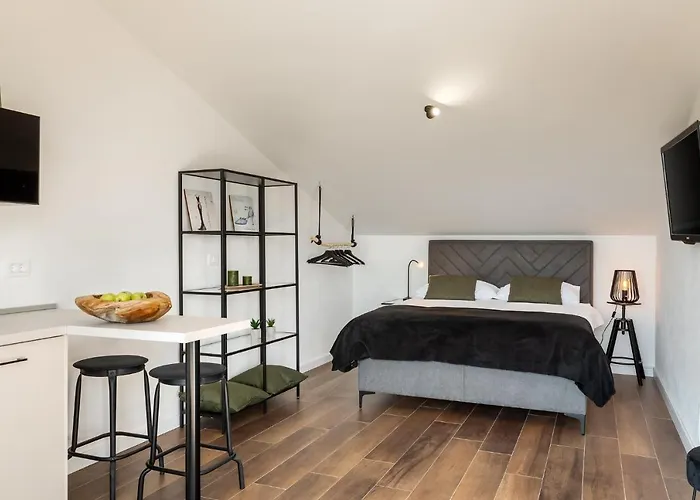 Belvedere Holidays * Novigrad Istria