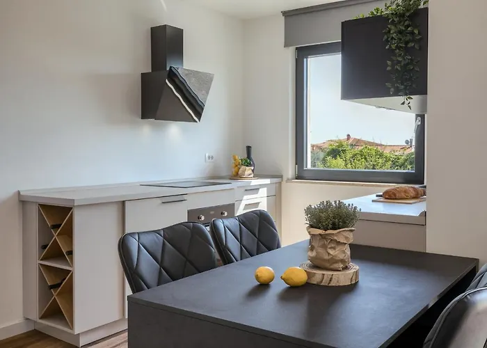 Belvedere Holidays Novigrad Istria